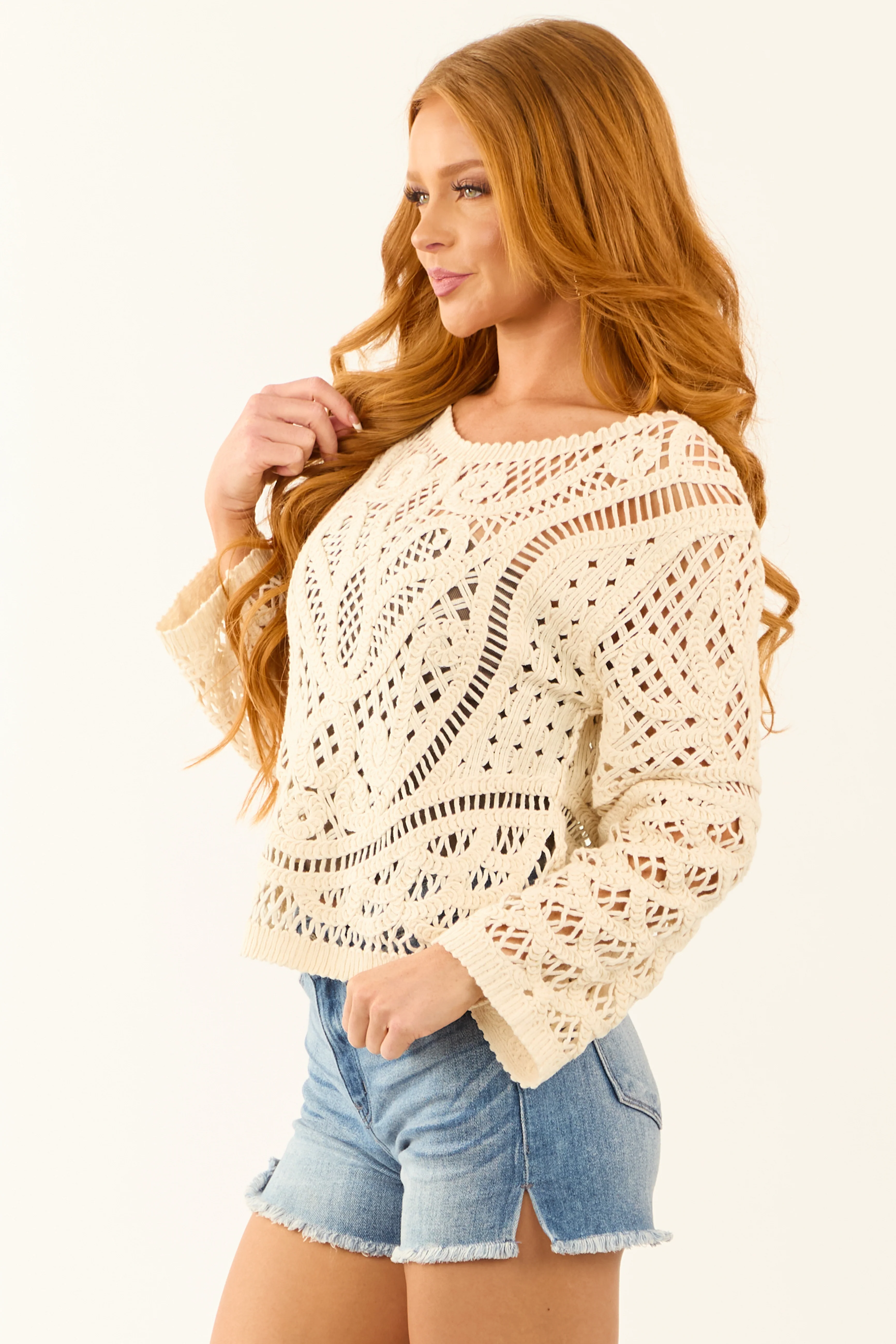 Cream Sheer Crochet Lace Long Sleeve Top - Image 4