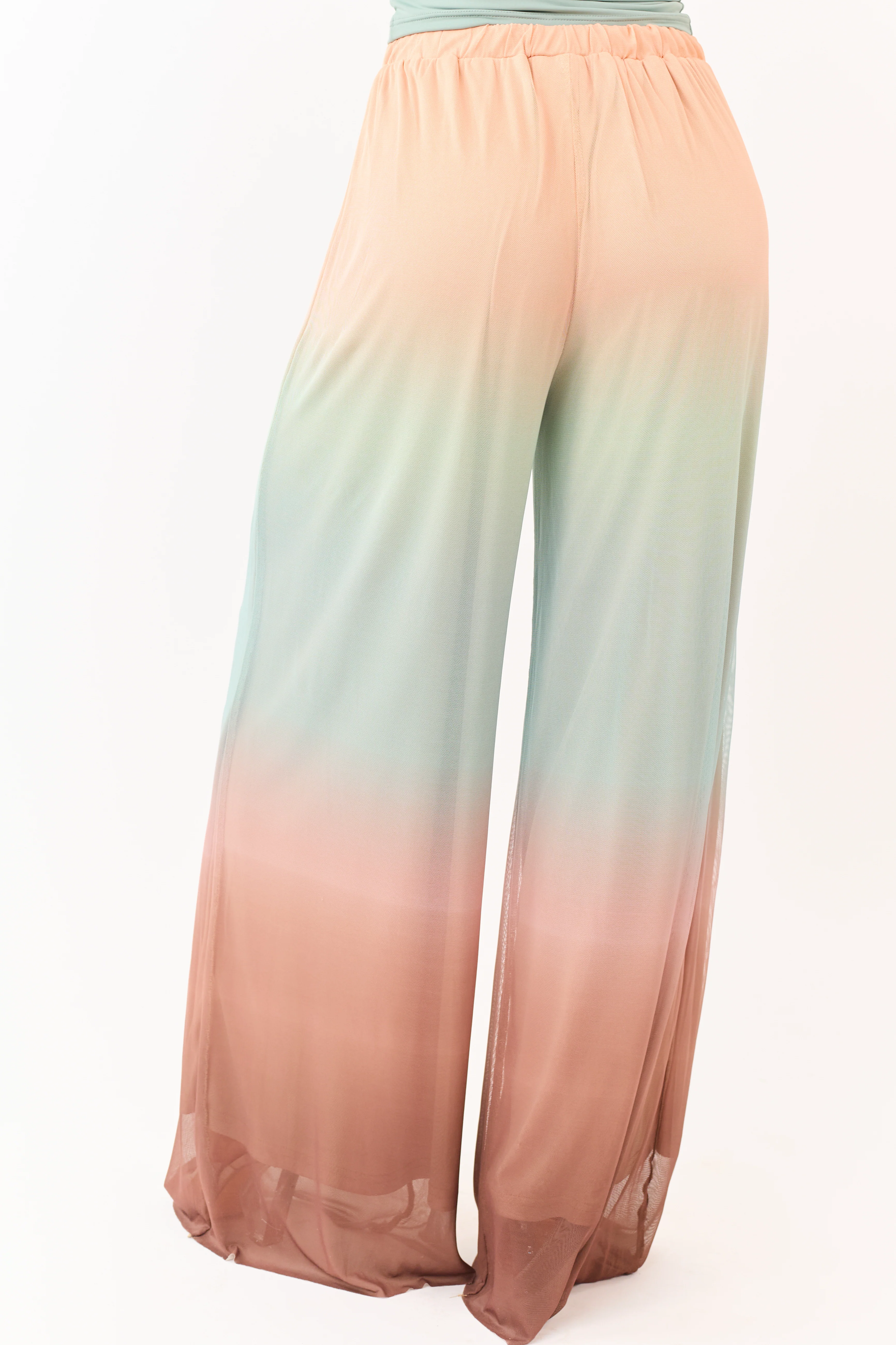 Promesa Multicolor Ombre Mesh Palazzo Pants - Image 4