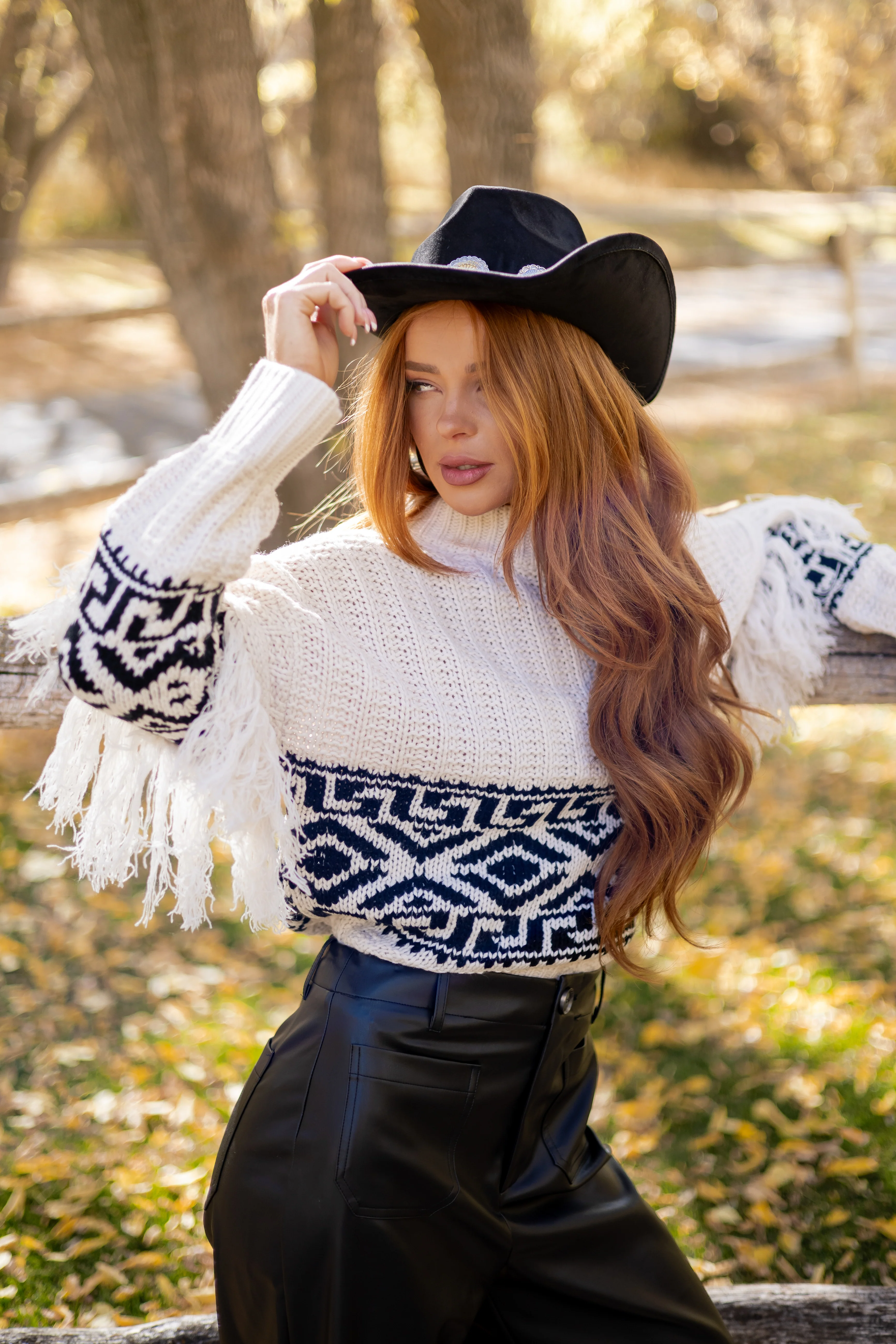 Vanilla Geometric Pattern Fringe Sleeve Knit Sweater - Image 9